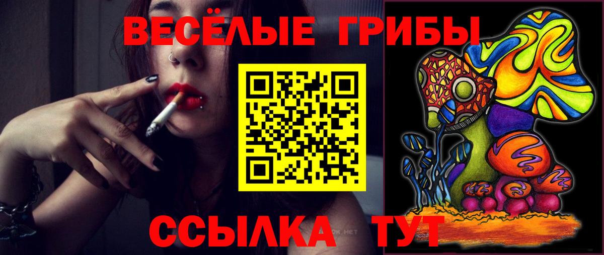 Галлюциногенные грибы мицелий  Вход с VPN  Гусь-Хрустальный 